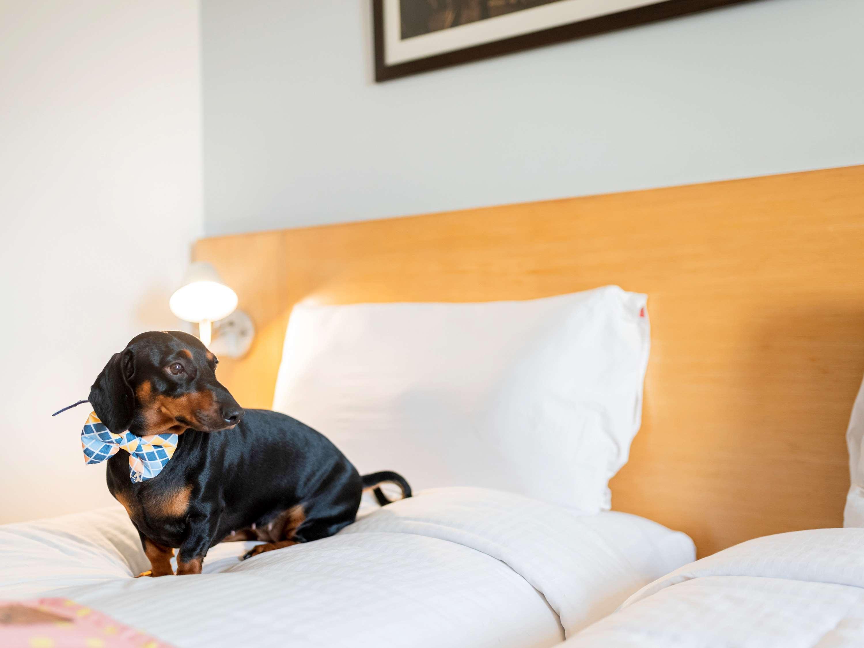 Ibis Kochi City Centre - An Accor Brand Zewnętrze zdjęcie